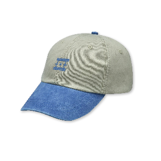 Horizons Dad Hat